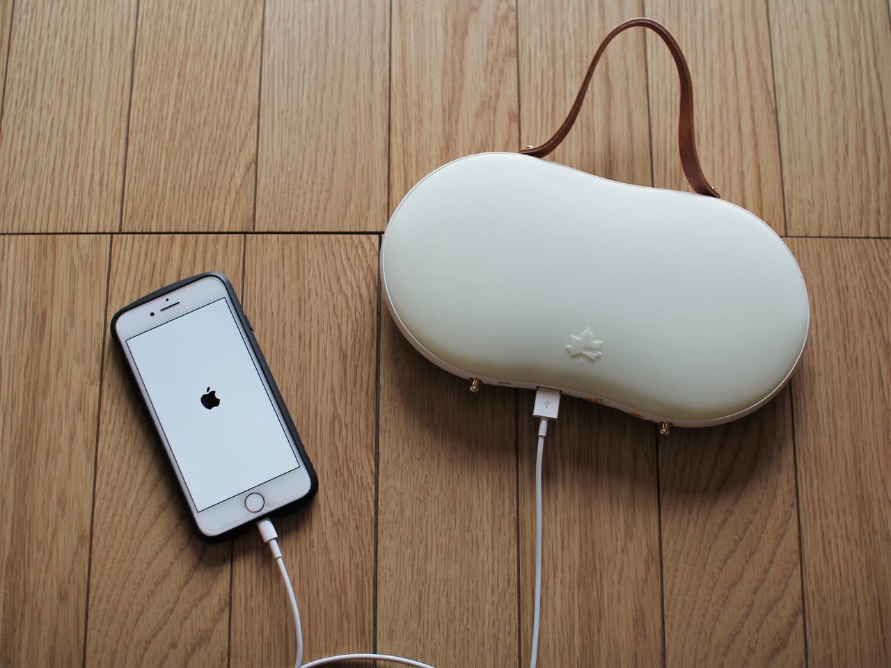 野電　あったかパッド(USB蓄電）