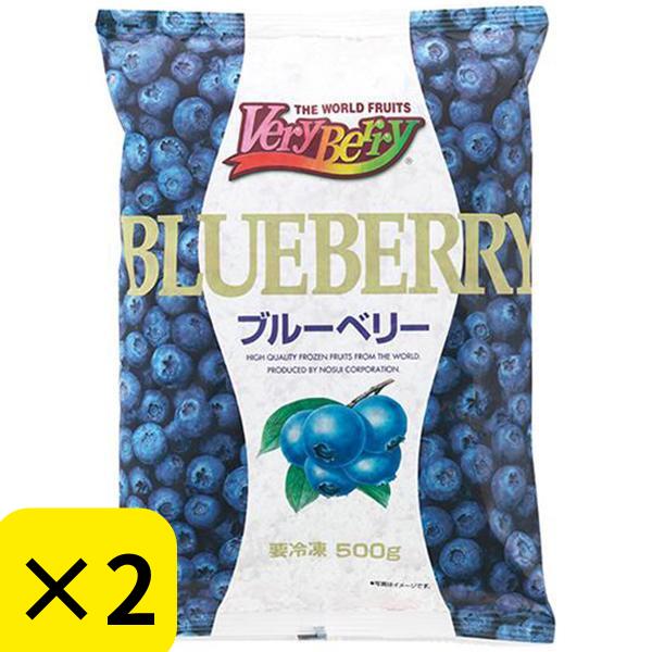ノースイ 冷凍 ブルーベリー 500g 【2個セット】